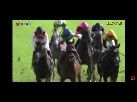 皐月賞2021 エフフォーリア