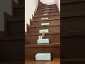 1番上まで階段作ったのにそこまでいけなかったキンクマ　#shorts 
