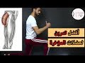 معلومات خطيرة عن (تمرين لانجز )مع دكتور حازم طارق - تمرين في السليم lunge exercise