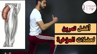 معلومات خطيرة عن تمرين الطعن - دكتور حازم طارق - تمرين في السليم lunge exercise
