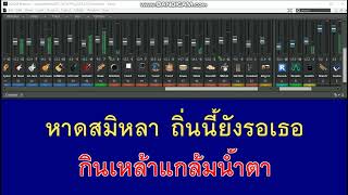 อดีตรัก (สมิหลา) - เสือสองเล [คาราโอเกะ & โปรเจคSONAR]