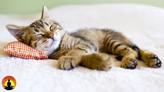 8 Hour Super Sleep Music: Relaxing Music, Meditation Music, Sleeping Music, Relaxation Music, ☯2479