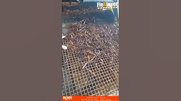 FleXiever Mini Screener screening wood bark. Screening net: 15x15mm. #recycle  #screeners