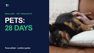 Can a Landlord Refuse a Pet The 28-Day Rule Explained
