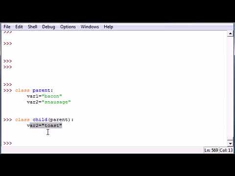 Python Programming Tutorial   35   Overwrite Variable on Sub