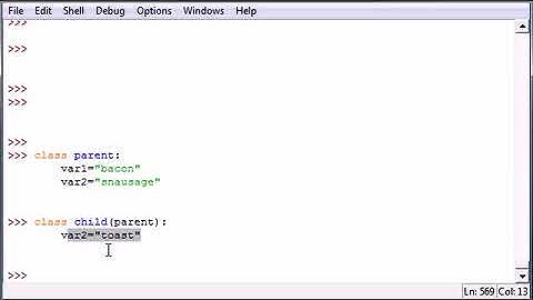 Python Programming Tutorial   35   Overwrite Variable on Sub