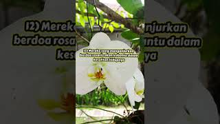 15 Janji Bunda Maria kepada yang setia Doa Rosario ¶ Doa Katolik
