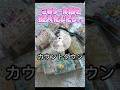 シール帳を擬人化したら、、 #シール帳 #シール交換