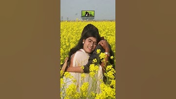 Tujhe Dekha Toh yeh Jaana Sanam🤩🤣New Srk & Kajal🔥 #shorts #bollywood #funny