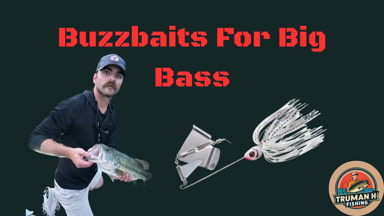 How to Fish Buzzbaits for BIG BASS (Beginner's Guide)
