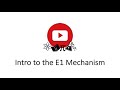 Introduction to the E1 Mechanism