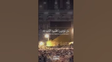 القارئ ياسر الدوسري 🥀 القرآن الكريم 🥺 سورة الأعلى #اكسبلور #دويتو #لايك #تيك_توك #حالات_واتس #ترند