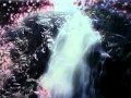 DREAMS: BLOODSPORT
