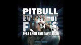 Pitbull Everybody Fucks feat.Akon and David Rush HQ