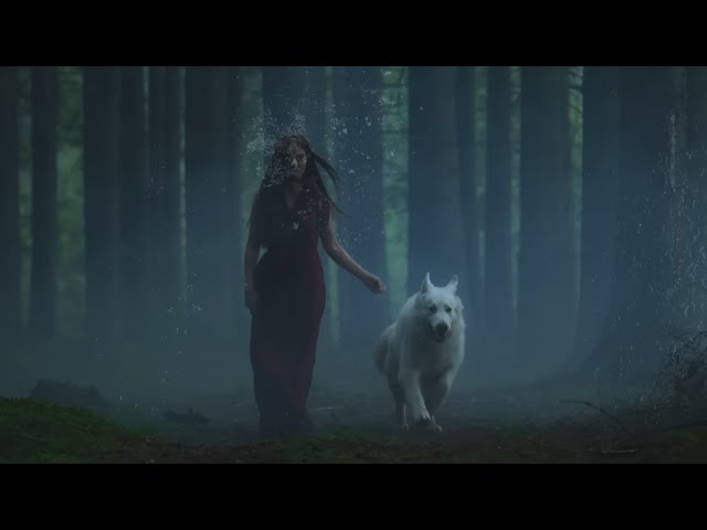 Black Swan - Immortal Souls