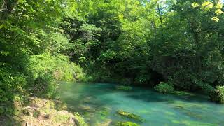 Pulltite Spring - Current River