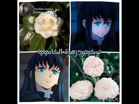 فك رتي الوصف توكيتو لمنة ناغي لمنة نطالب بطرد الاوتاكو لليابان 