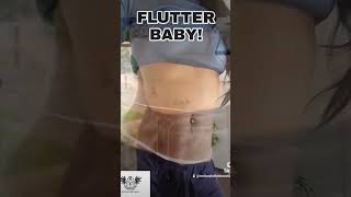 FLUTTER BABY  bellydance flutters belly  melissabellydance