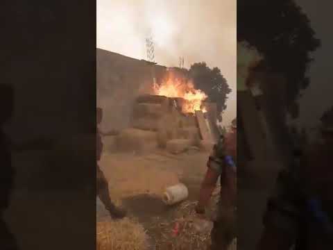 نخاف عليك يابلادي