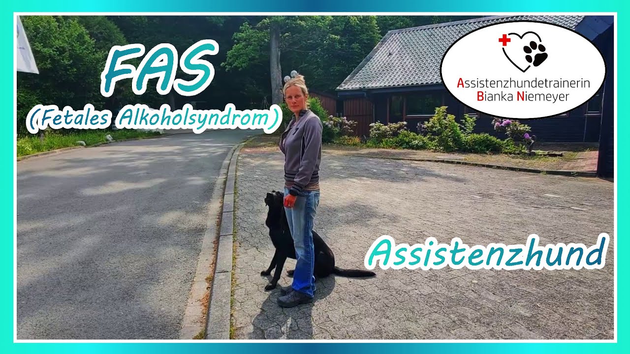 Der FAS Assistenzhund | Mehr Freiheiten dank dem besten Freund | Bibi & die helfenden Hunde