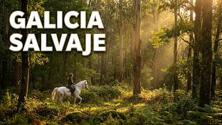 A caballo en Galicia | La naturaleza desde otra perspectiva