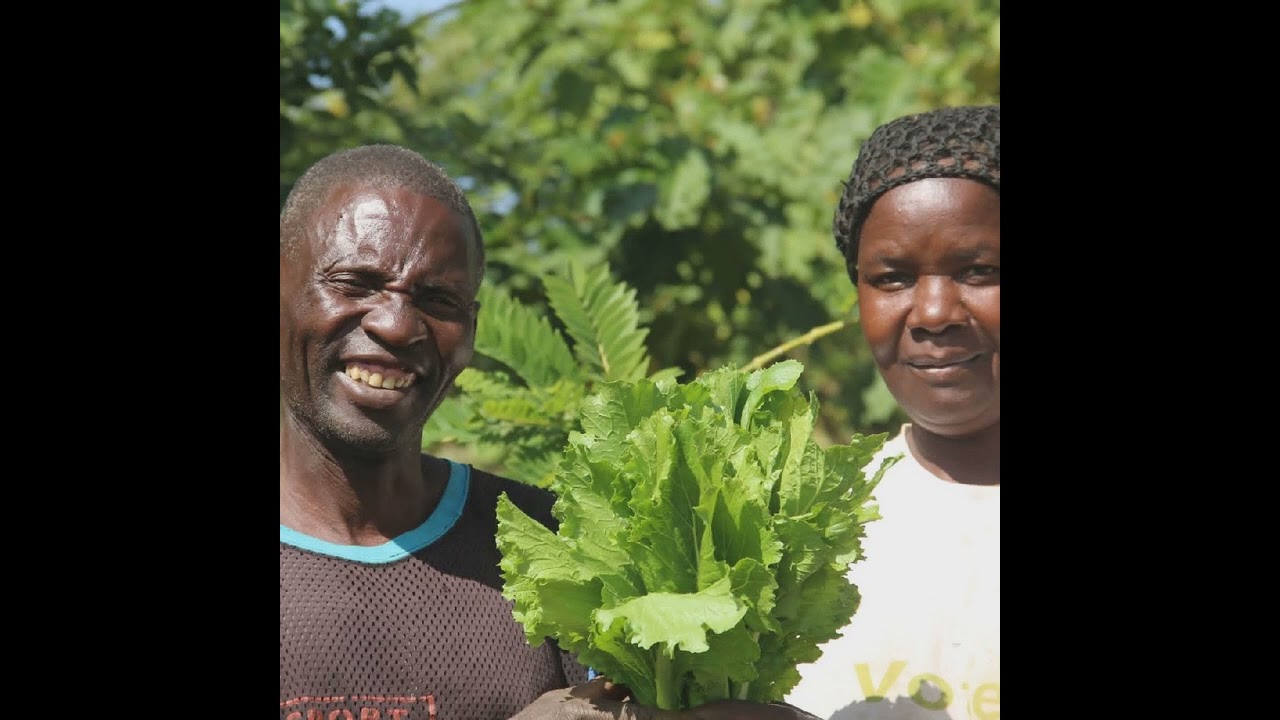 Agriculture Groups Step Up Climate-Resilience Efforts for Zambia’s Small-Scale Farmers