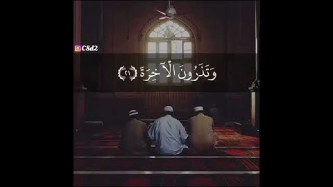سورة القيامة بصوت تخشع له القلوب