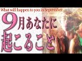 9月あなたに起こること🔮３択占い🧝‍♀️恋愛💕仕事💰金運🌀全体運^ ^🔮タロット＆オラクル🍏３択占い🧚