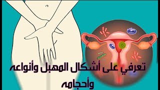 تعرفي على أشكال المهبل وأنواعه وأحجامه المختلفة لديكن