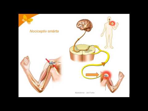 4 Nociceptiv smärta