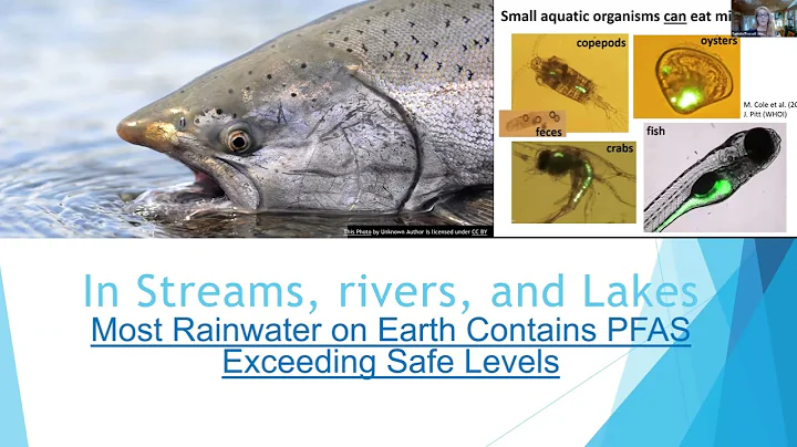 PFAS in stuff Feb 22 2023