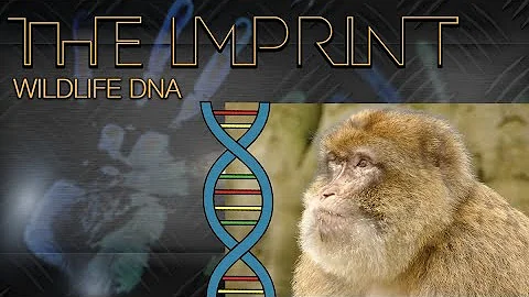 GFJC | The Imprint | Wildlife DNA