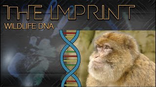 GFJC | The Imprint | Wildlife DNA