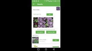 PlantSnap identifies a Daphne genkwa screenshot 2