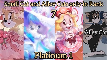 Tom and Jerry Chase CN - Small cats & Alley cats only on Rank