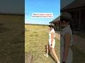 Best Budget Lodge In Masai Mara Muthu Keekorok Travel Masaimara Masaimarastays Kenyalodge 