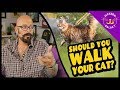 Should You Walk Your Cat?