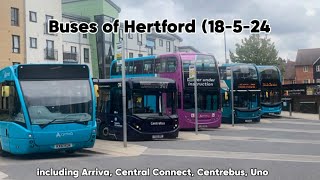 Buses of Hertford (18524)