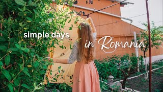 Travel vlog - (sub) 🇷🇴 reconnecting with home in romania | rural life | luggage issues | meeting relatives