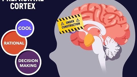 Decision Focus 02 - Decision Traps
