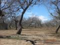 11.61 Acres - Adkins, TX - 4BR2FB