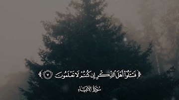 ما تيسر من سورة الأنبياء بصوت القارئ ابراهيم الجبرين 🤍🎧