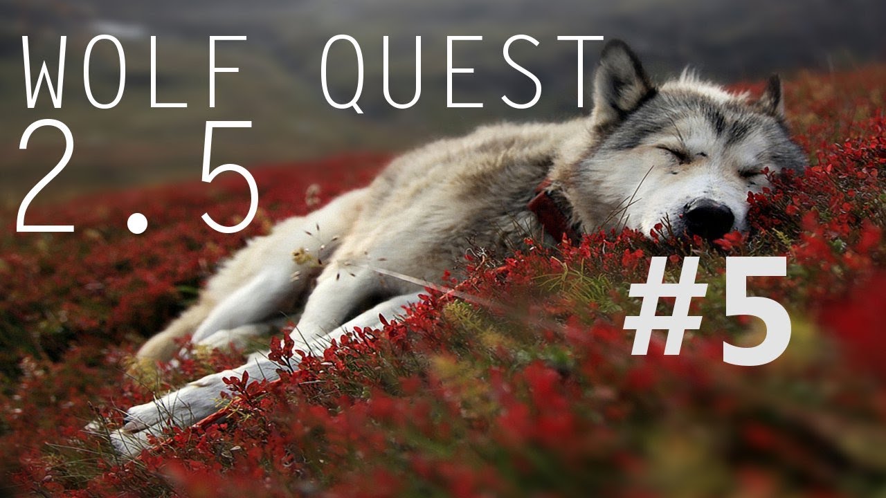 Wolf Quest 5 Wolf Quest 5