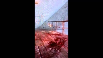 Call of Duty: Black Ops: Shi No Numa: Dog Glitch.