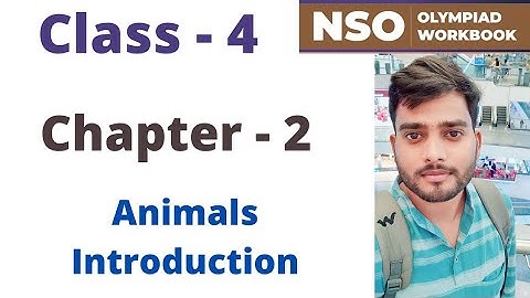 NSO ~ National Science Olympiad | Class - 4 | C - 2 | Animals ~ Introduction | By - Sudhir Sir