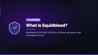 What is Squidbleed