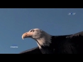 LEO ROJAS - El Condor Pasa