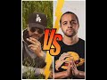 Auto Klach Rap Maroc Vs Algérie