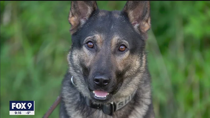 Overwhelming show of support for family of K-9 off...