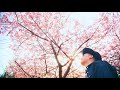 NOBU - 「旅立つ君へ」